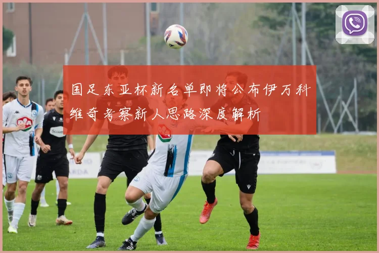 国足东亚杯新名单即将公布伊万科维奇考察新人思路深度解析